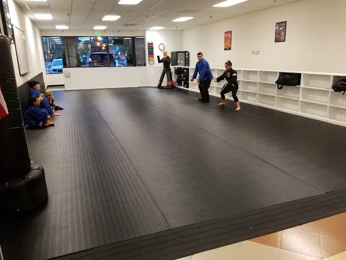 Zen Dojos Martial Arts Academy Picture 7