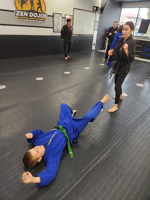 Zen Dojos Martial Arts Academy Picture 9