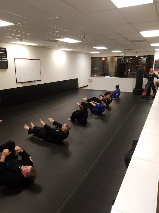 Zen Dojos Martial Arts Academy Picture 4
