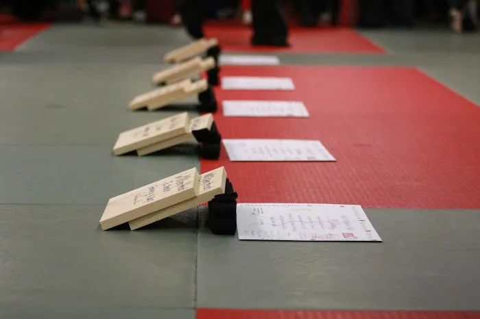 Ridgewood Karate Academy Picture 1
