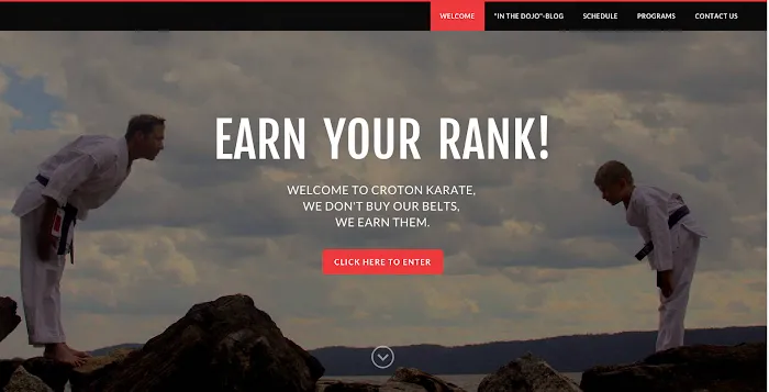 Croton Karate Picture 6