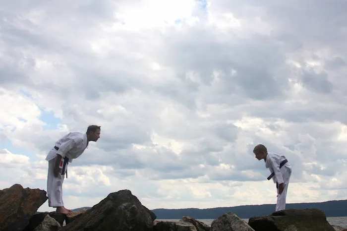 Croton Karate Picture 3