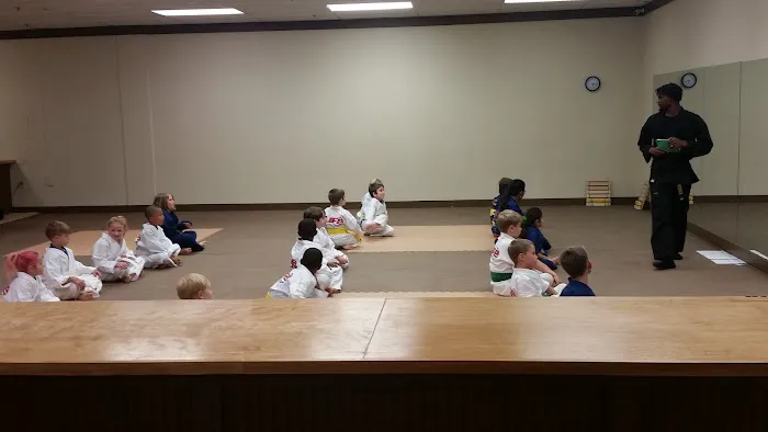 Family Martial Arts - Bells Ferry Picture 2