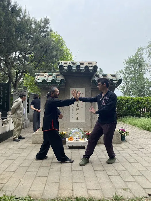 Flying Tortoise Kung Fu Picture 6