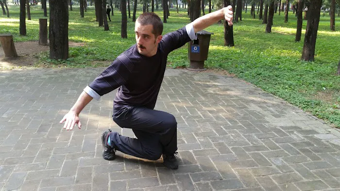 Flying Tortoise Kung Fu Picture 5
