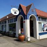 Flying Tortoise Kung Fu