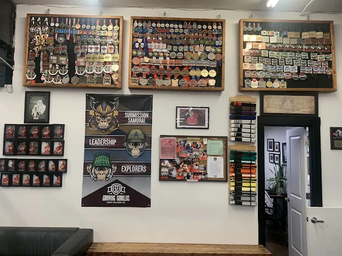 Straight Blast Gym Portland - BJJ & MMA Gym Picture 3