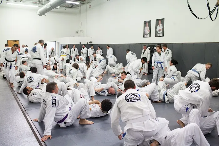 Royce Gracie Jiu Jitsu Cary Picture 9