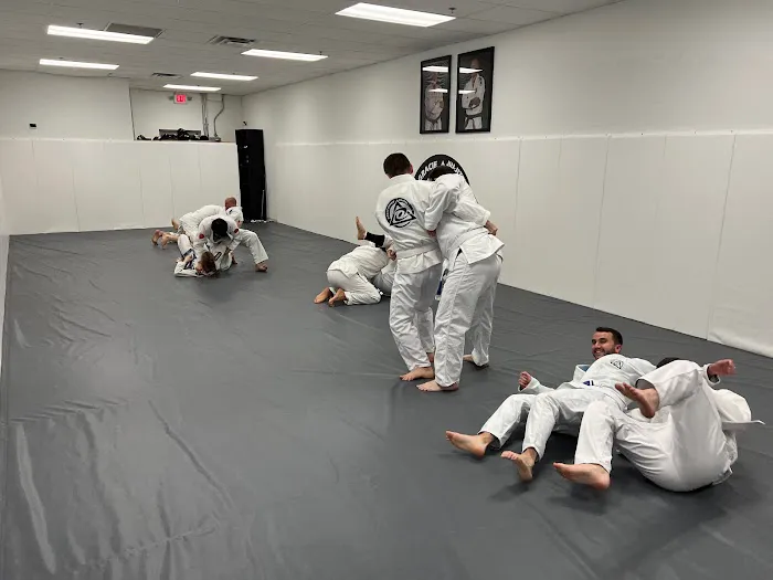 Royce Gracie Jiu Jitsu Cary Picture 2