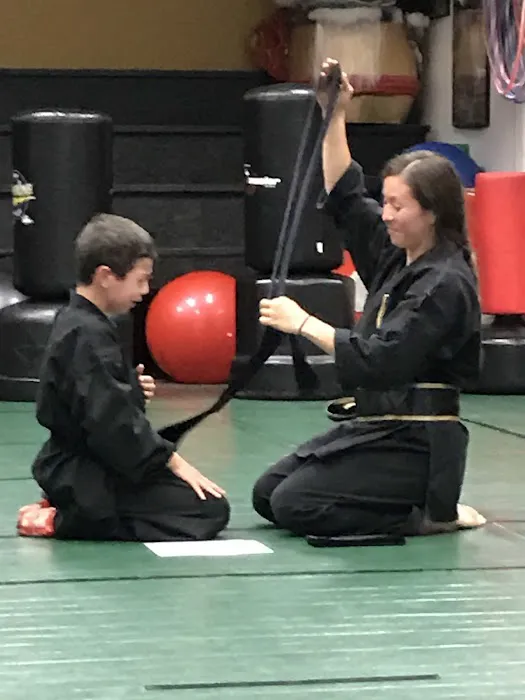 Vizzio's Institute of Martial Arts Picture 3