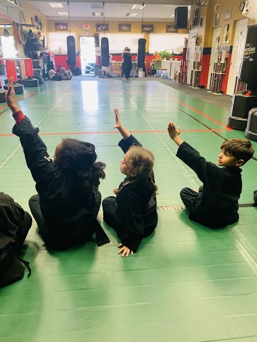Vizzio's Institute of Martial Arts Picture 6