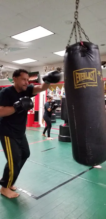 Vizzio's Institute of Martial Arts Picture 7