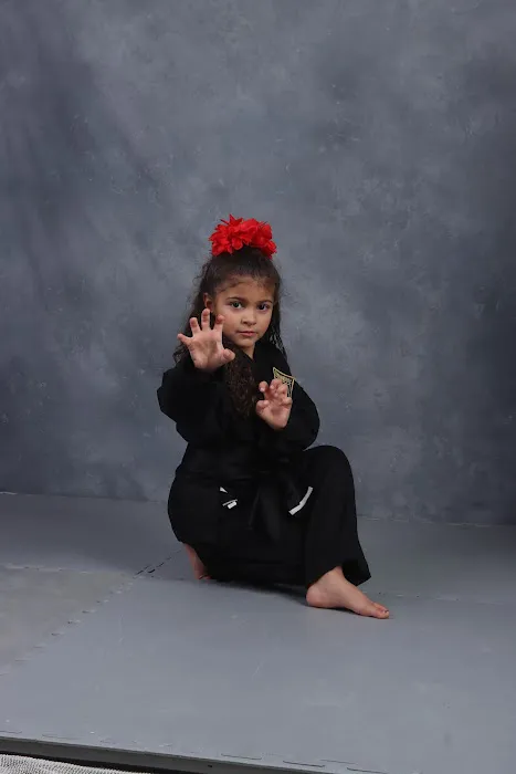Vizzio's Institute of Martial Arts Picture 1