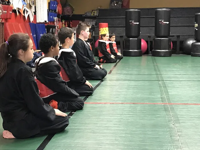 Vizzio's Institute of Martial Arts Picture 5