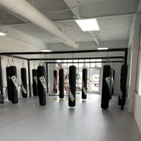 Embrace Martial Arts ico