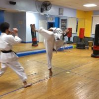 United Martial Arts ico