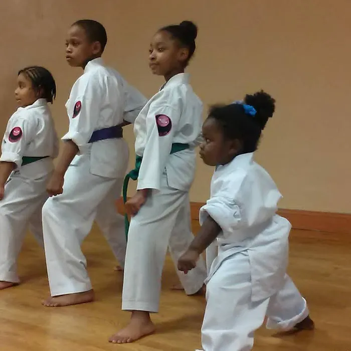 United Martial Arts Picture 7