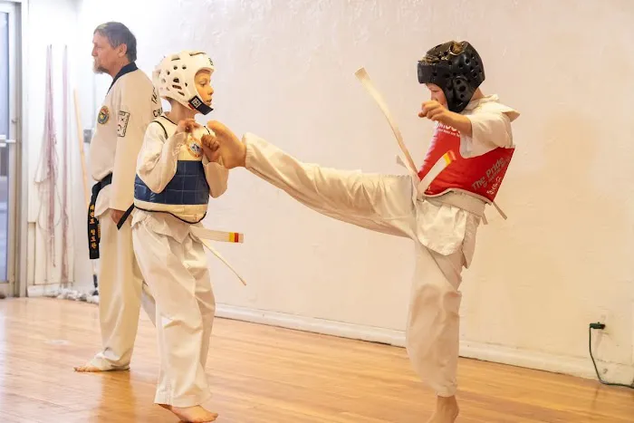 Rapid City Taekwondo Academy Picture 6