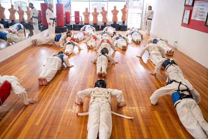 Rapid City Taekwondo Academy Picture 1