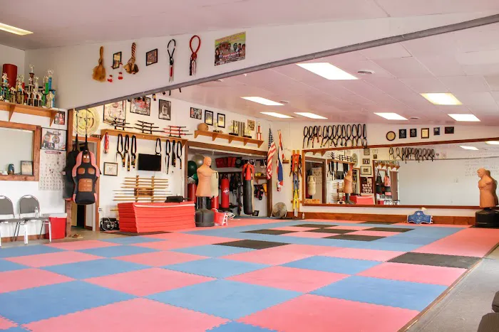 Bright Path Martial Arts Picture 4
