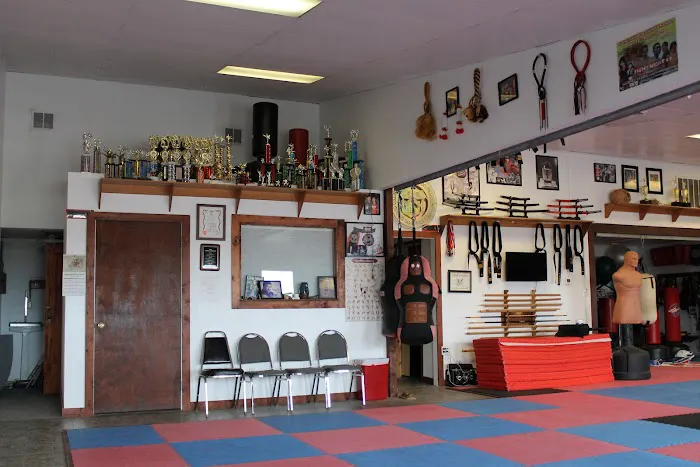 Bright Path Martial Arts Picture 7
