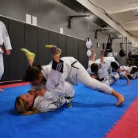 Black Tiger Martial Arts Academy ico