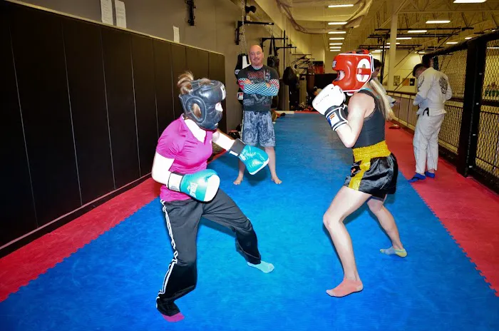 Black Tiger Martial Arts Academy Picture 7