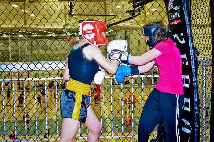 Black Tiger Martial Arts Academy Picture 10