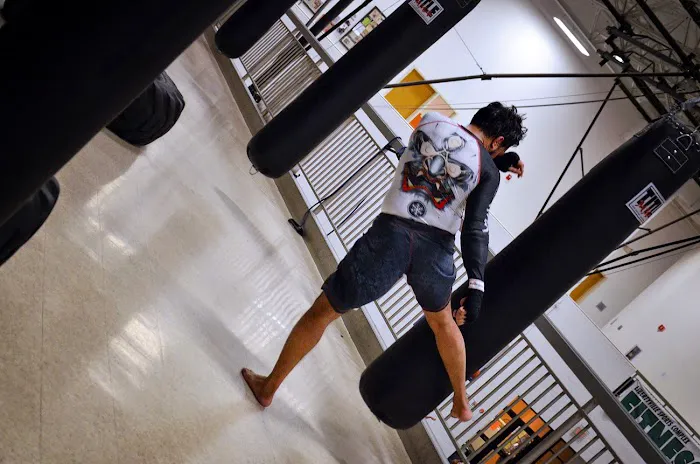 Black Tiger Martial Arts Academy Picture 8