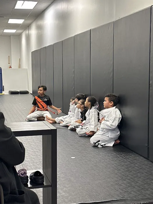 Zentai Martial Arts & Summer Camp - Hackensack Picture 1
