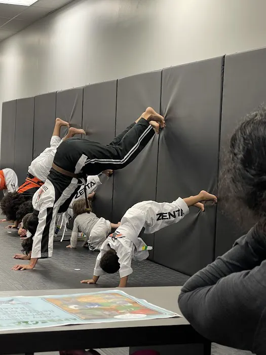 Zentai Martial Arts & Summer Camp - Hackensack Picture 5