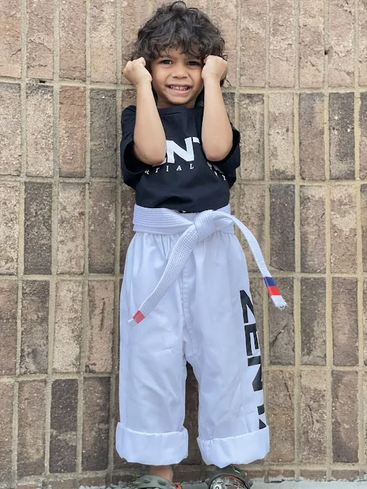 Zentai Martial Arts & Summer Camp - Hackensack Picture 6