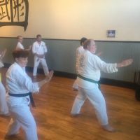 Wu Hsing Shan School-Martial Arts ico