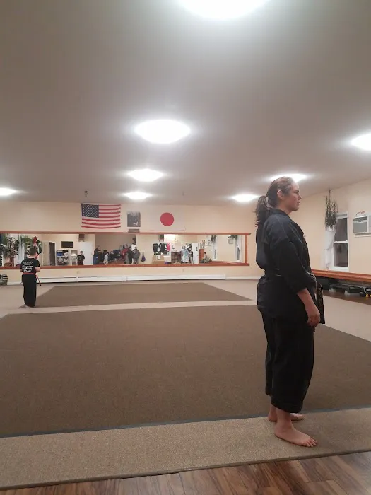 Pelletier's Karate Academy Picture 1