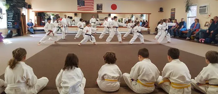 Pelletier's Karate Academy Picture 4