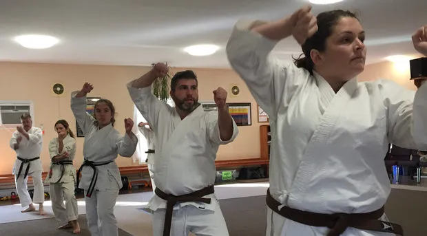 Pelletier's Karate Academy Picture 8