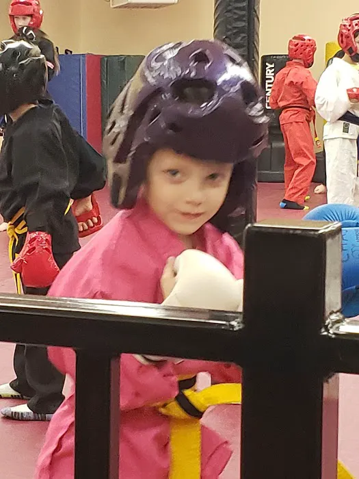 Phoenix No Limits Karate Picture 4