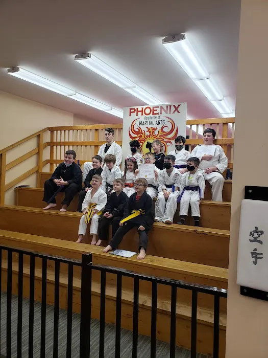 Phoenix No Limits Karate Picture 3