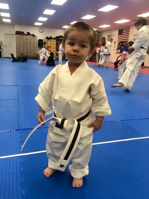 Phoenix No Limits Karate Picture 9