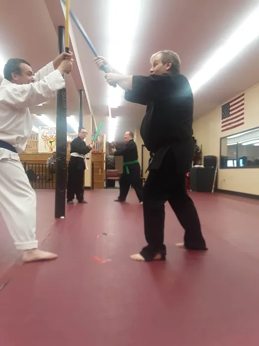 Phoenix No Limits Karate Picture 6