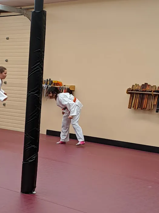 Phoenix No Limits Karate Picture 7