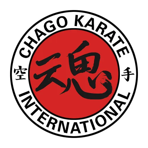 Chago Karate International, LLC. Picture 9