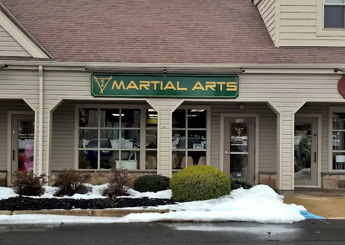 Fusion Martial Arts Academy Picture 1