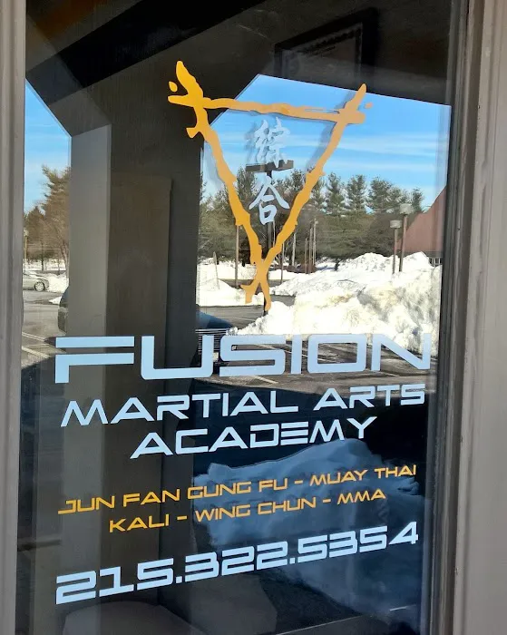 Fusion Martial Arts Academy Picture 5