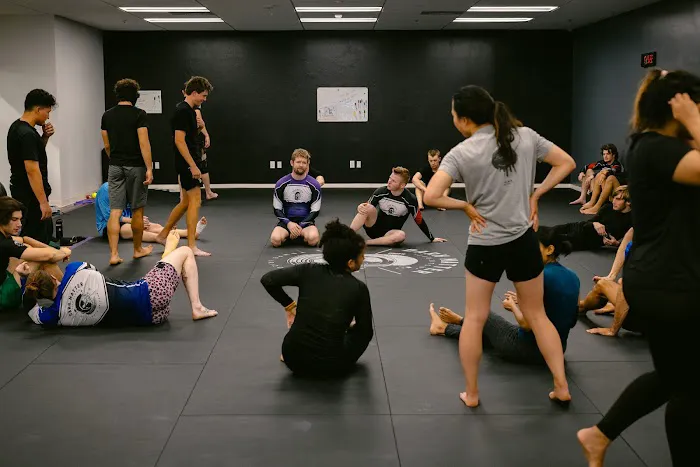 Dark Matter Jiu Jitsu/Ares BJJ Tempe Picture 2