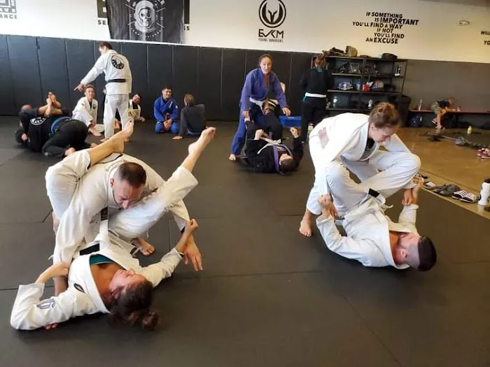 Dark Matter Jiu Jitsu/Ares BJJ Tempe Picture 8