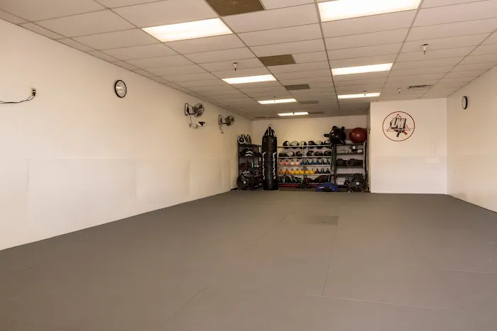 Like Minded Jiu-Jitsu Picture 1