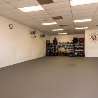 Like Minded Jiu-Jitsu ico