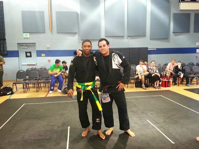 Like Minded Jiu-Jitsu Picture 3