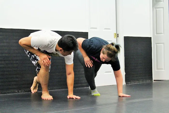 Chicago School Of Grappling Picture 2